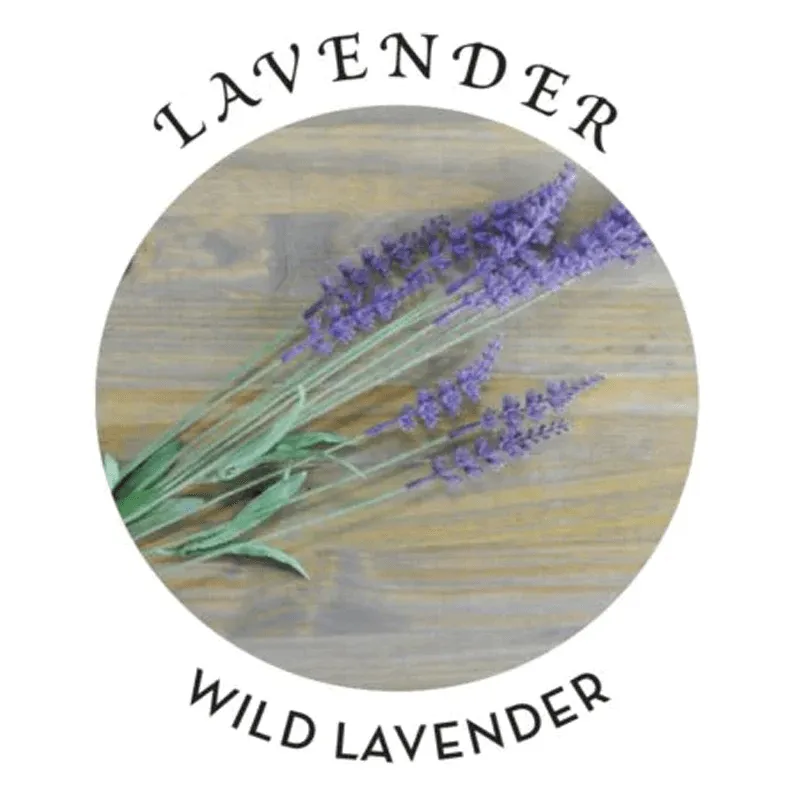 Earthly Body Hemp Seed Massage Oil Lavender Scent