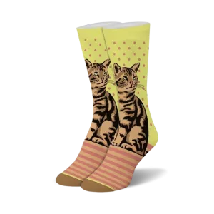Tabby Cat